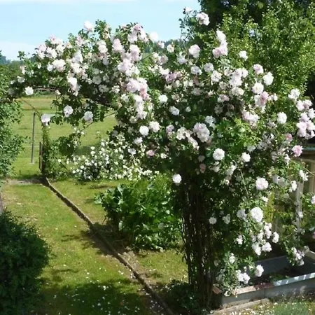 Apartament Ferienwohnung In Hasle-ruegsau Hasle bei Burgdorf